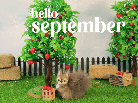 September Meeting Reminder